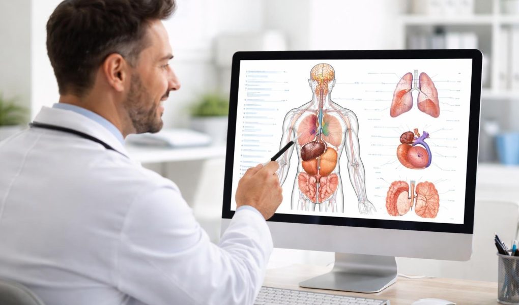 medecin-diagramme-anatomique-ordinateur-bureau
