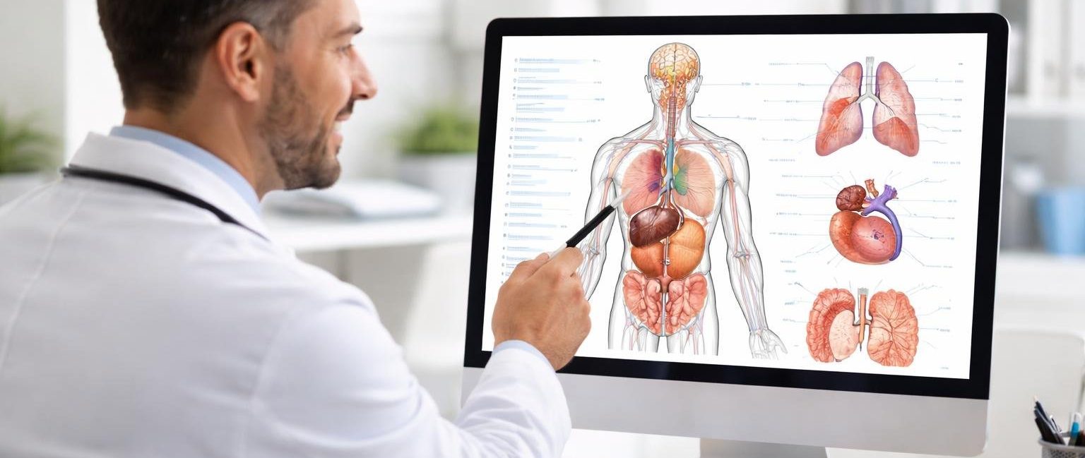 medecin-diagramme-anatomique-ordinateur-bureau